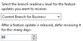 Image showing how to defer Windows Feature updates