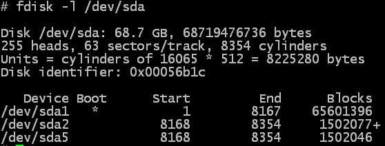 Image showing output of fdisk command, reporting the size incorrectly